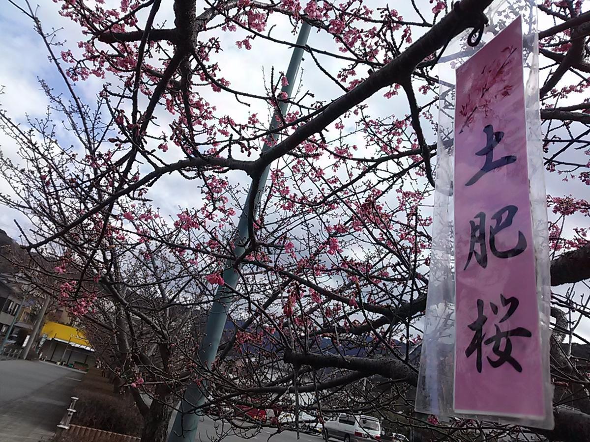 Koibito Misaki Pension Marine Mates Izu  Exteriér fotografie