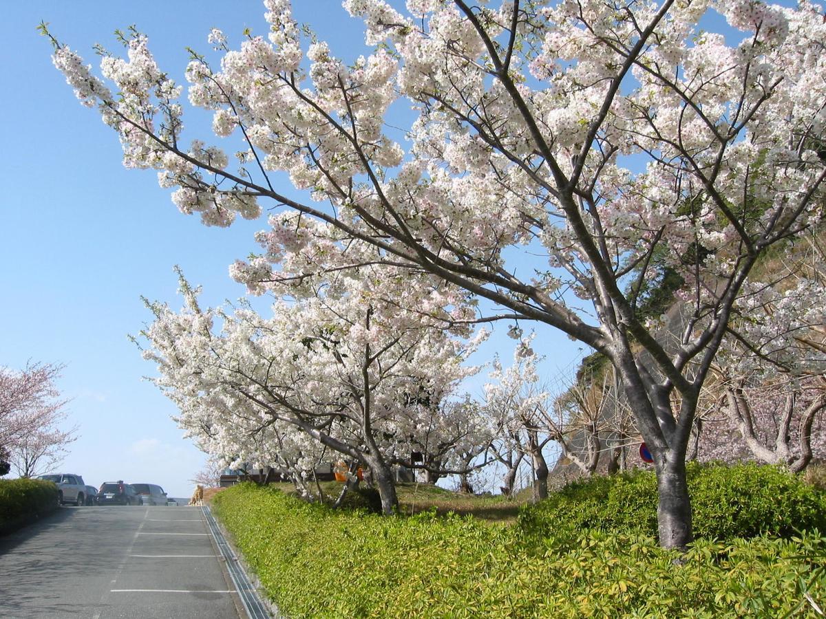 Koibito Misaki Pension Marine Mates Izu  Exteriér fotografie