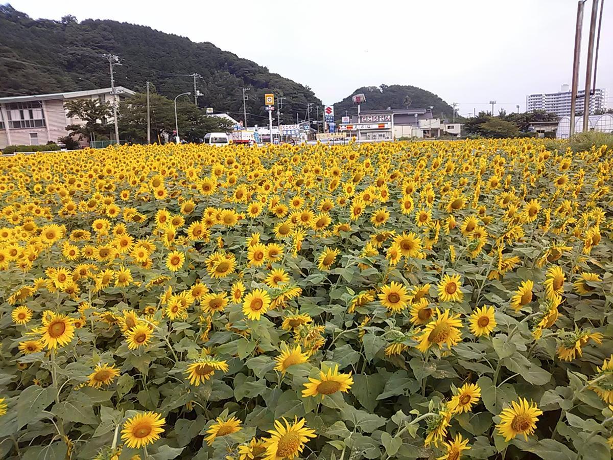 Koibito Misaki Pension Marine Mates Izu  Exteriér fotografie